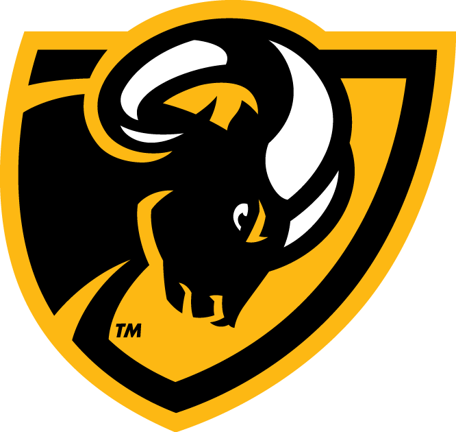Virginia Commonwealth Rams 2014-Pres Secondary Logo diy iron on heat transfer